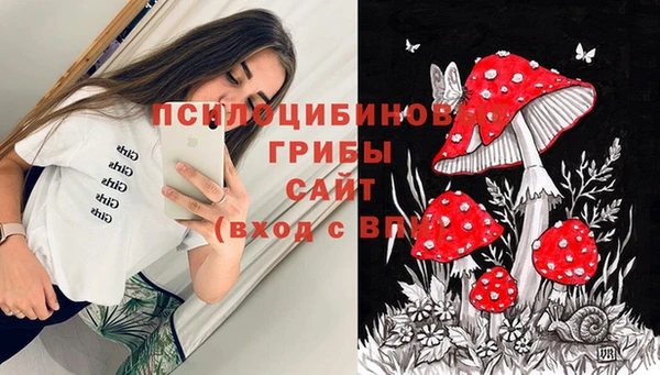 кокс Алексеевка