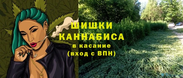 apvp Алзамай