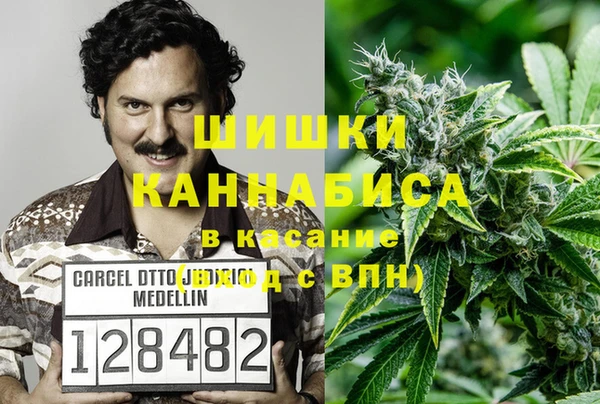apvp Алзамай