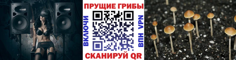 гидра сайт Кяхта Галлюциногенные грибы ЛСД