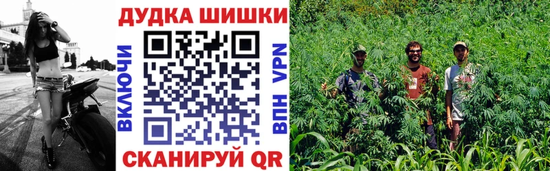 наркошоп  Кяхта  Конопля гибрид 